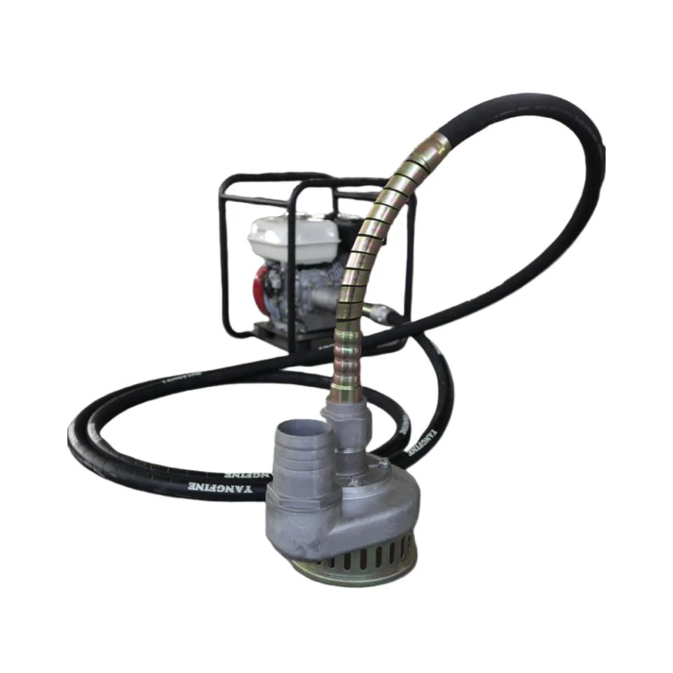 2inch Electric Motor Flexible Shaft Submersible Water Pump