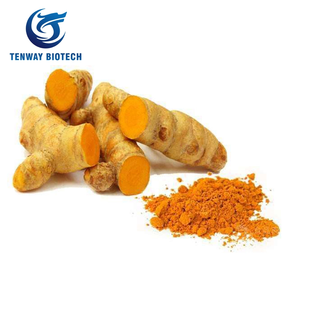 High Purity 98% Food Ingredient/Food Additive Curcumin Turmeric Extract Powder as Food Coloring