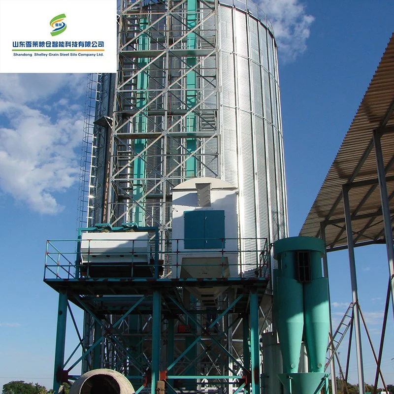 Shelley silo de la farine de grain de la Chine les fournisseurs de Silo en Acier inoxydable de 14 tonnes a galvanisé le fond du bac, les aliments pour volaille Silo Silo de fond de trémie