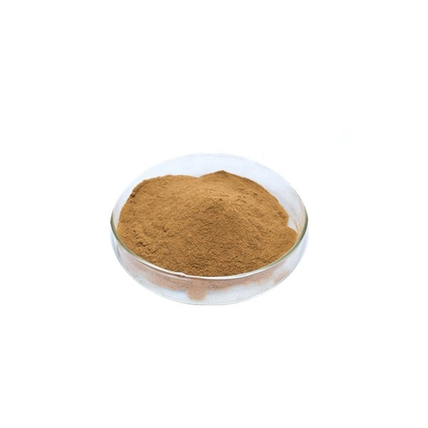 Fast expédiés Milk Thistle Seed Extract silymarine 80 % Milk Thistle Extract