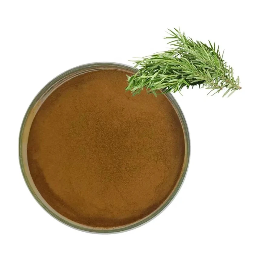 Supplier High quality/High cost performance  Pure Natural Organic Rosemary Extract Water Soluble Ursolic Acid