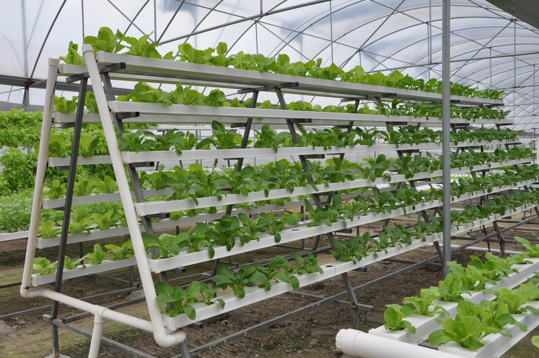 Estufa agrícola de Venda a quente NFT tubo hidropônico plástico de 4X2 polegadas