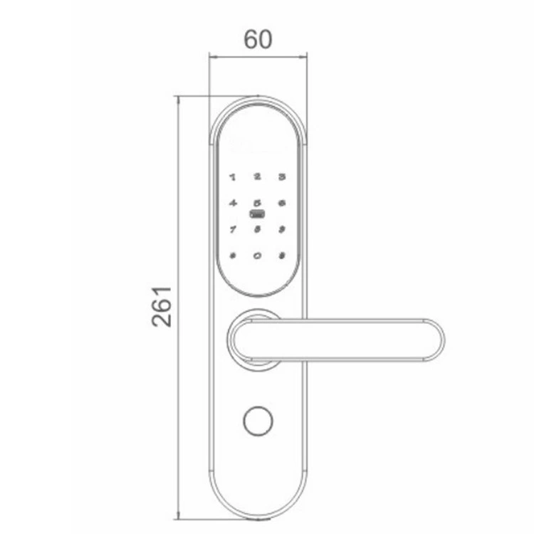 Elektronische Biometrische Fingerabdruck Türschloss Schlüsselloses Digitales Türschloss Fingerabdruck +Passwort + Karten + Mechanische Schlüssel für Zuhause