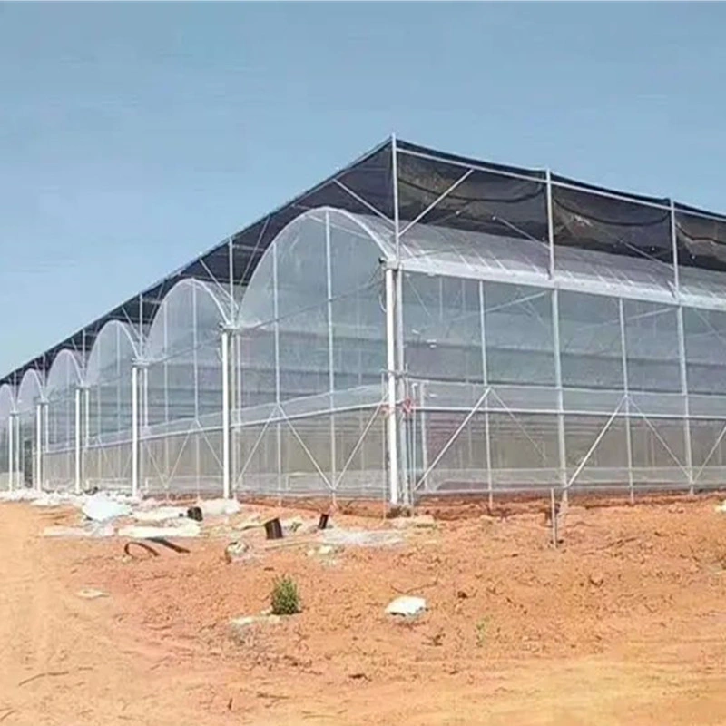 Modern Agriculture Farming Glass Greenhouse with Shading System