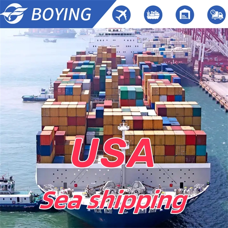 International Sea Freight Shipping Company with Freight Forwarder