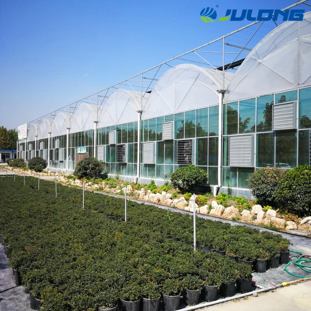 Agriculture Commercial Tunnel Arch Hydroponics Greenhouse for Agricultural Vegetables/Flowers/Fruits/Tomato/Cucumber/Eggplant