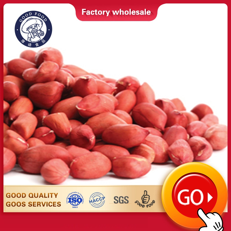 Dried Kernel Peanuts Groundnut Raw/Fresh Red Skin Arachid for Sale Chinese Factory