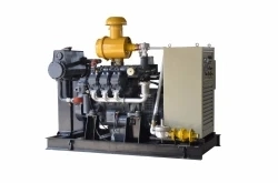 CE Approved 50Hz/60Hz 400V/230V 500kVA 400kw Natural Gas Generator