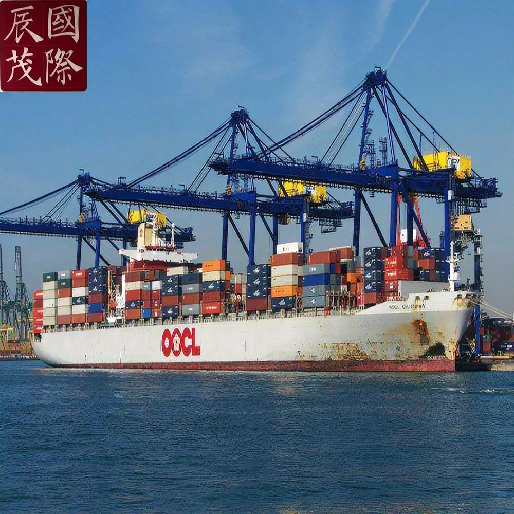 Amazon Fba Door to Door DDP DDU Sea Freight Fromtianjin (CNTSN/CNTSN) Dalian (CNTSN/CNDXG) Qingdao (CNTAO) in China to Ancona (ITANC) , Asti (ITAST) in Italy