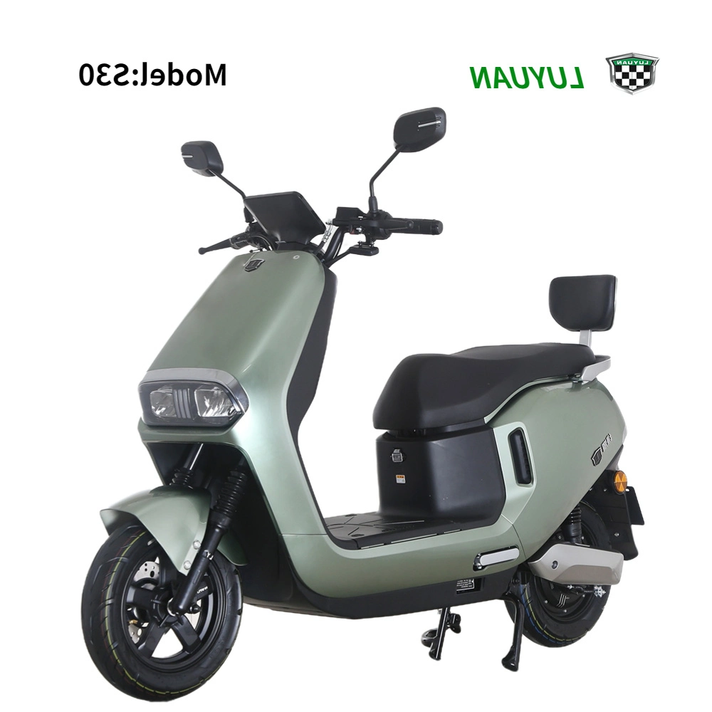 Moto électrique verte 1000W pour adultes