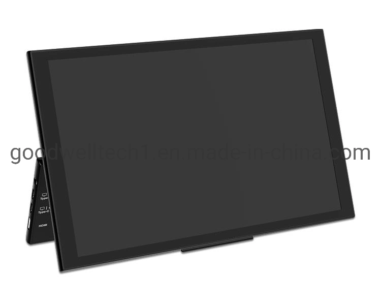 Écran LCD tactile mince et léger de 10,1 pouces, panneau IPS 1280X800.