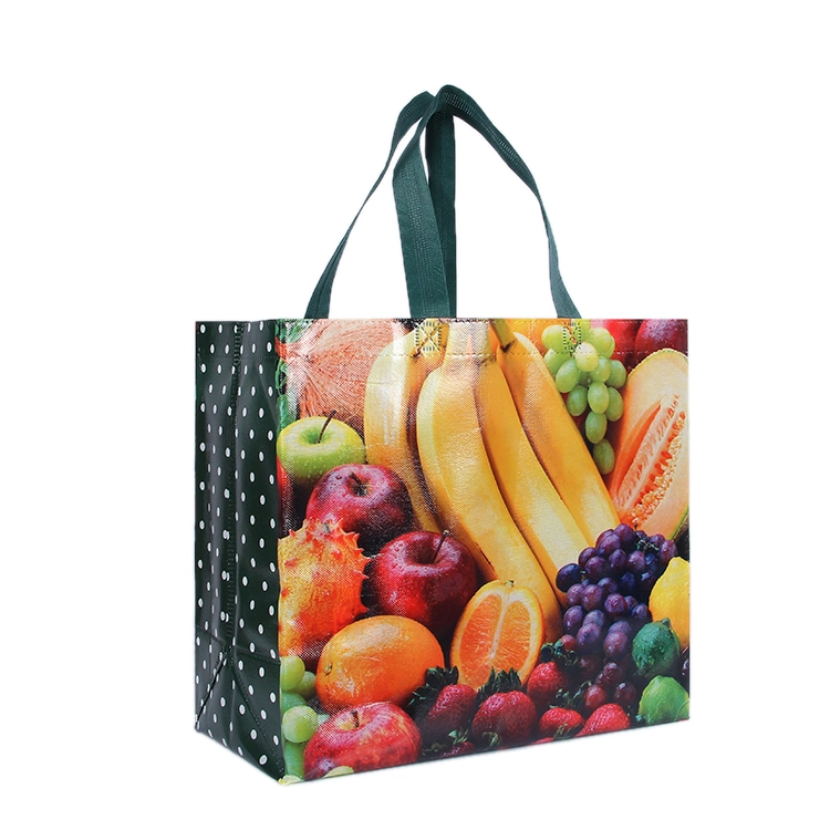 PP Woven Packing Bag with Full Printed OPP Film Lamination for Shopping