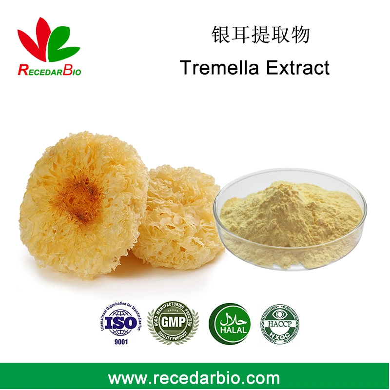 White Fungus Snow Ear Extract Tremella Extract Powder 30% Polysaccharide