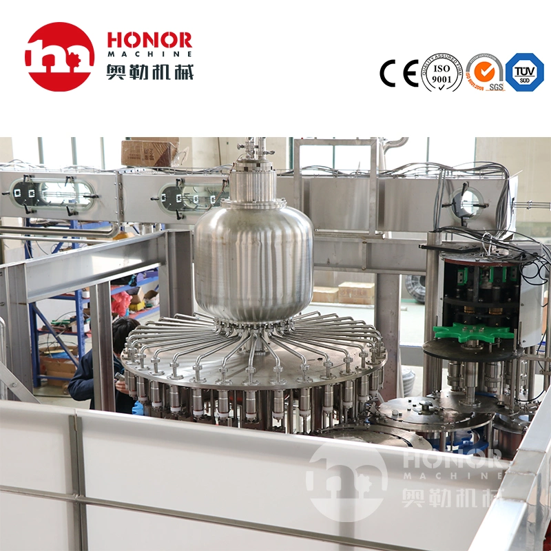 Preparation of Concentrated Fruit and Vegetable Juice Beverage Plastic Bottle Sealing Equipment