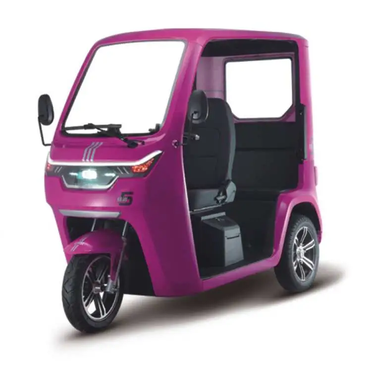 EEC Open Electric Tricycle Electric Scooter Mobility Scooter Tuktuk Van Turk