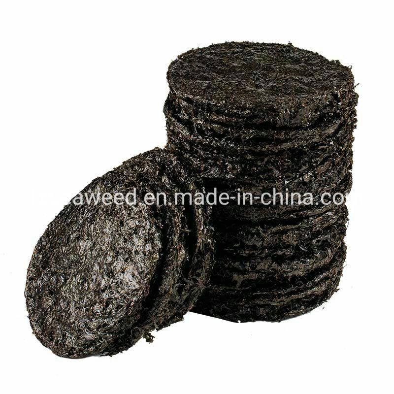 Export Japanese Organic Natural Dried Nori Laver for Food