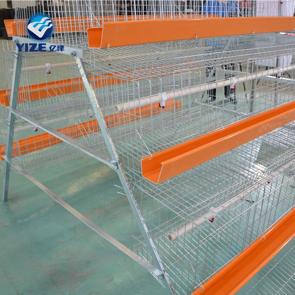 Hot Selling Good Quality Poultry Farm Equipment Chicken Cage for Sale in Sri Lanka