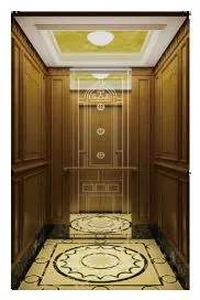 Professional Service Traction Series Home Elevator Lift for Sale