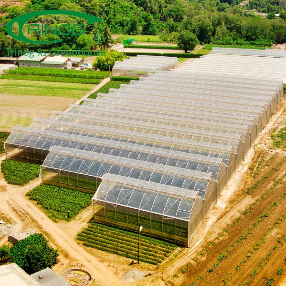 Material de construção de estufas hidropônicas de filme plástico agrícola usado de alta tecnologia e baixo custo à venda.