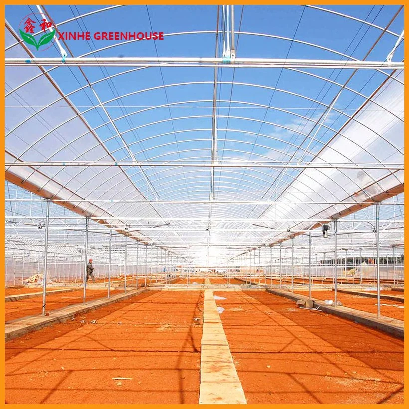 Commercial Multi-Span Plastic Film Greenhouse for Tomato/ Strawberry/ Cucumber/ Pepper /Lettuce