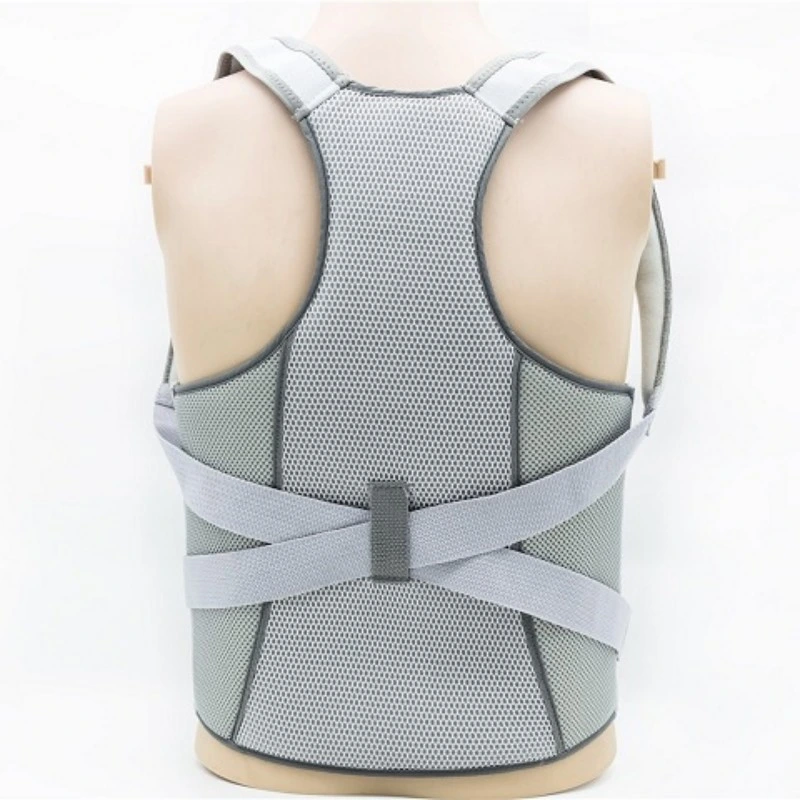 Breathable Tall Spinal Support with CE and FDA