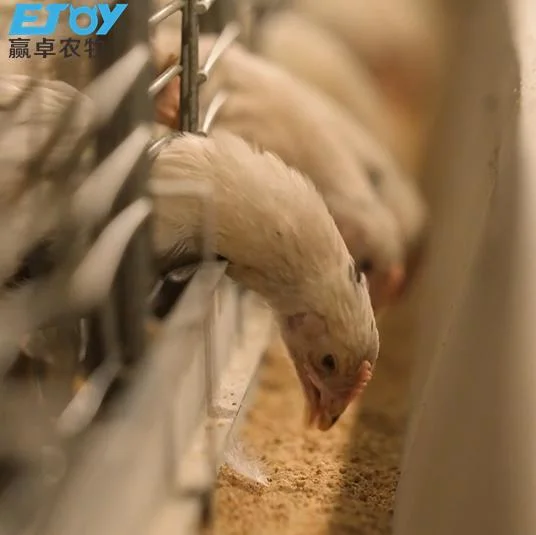 Automatische H-Typ Baby Geflügel Hühnerkäfig Geflügel Ausrüstung brüten Für den Anbau von Eierhühnchen