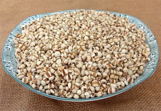 Coix Seed Herbal Medicine Herbs Wholesale/Supplier Dried Coix Semen Coicis Seed