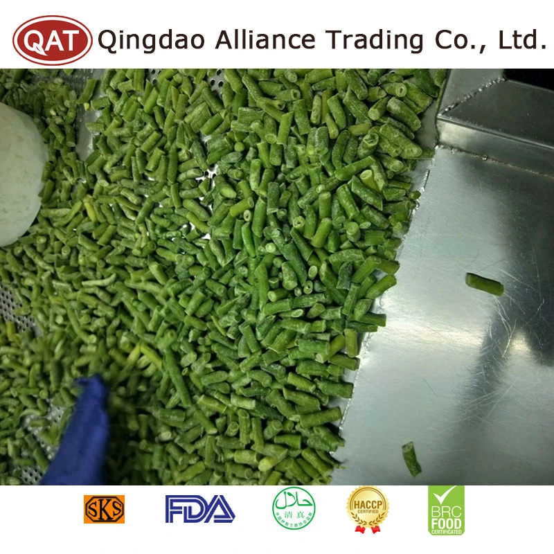 Top Quality Frozen IQF Cut Green Beans with Factory Price EU Standard in Bulk Retail Packing