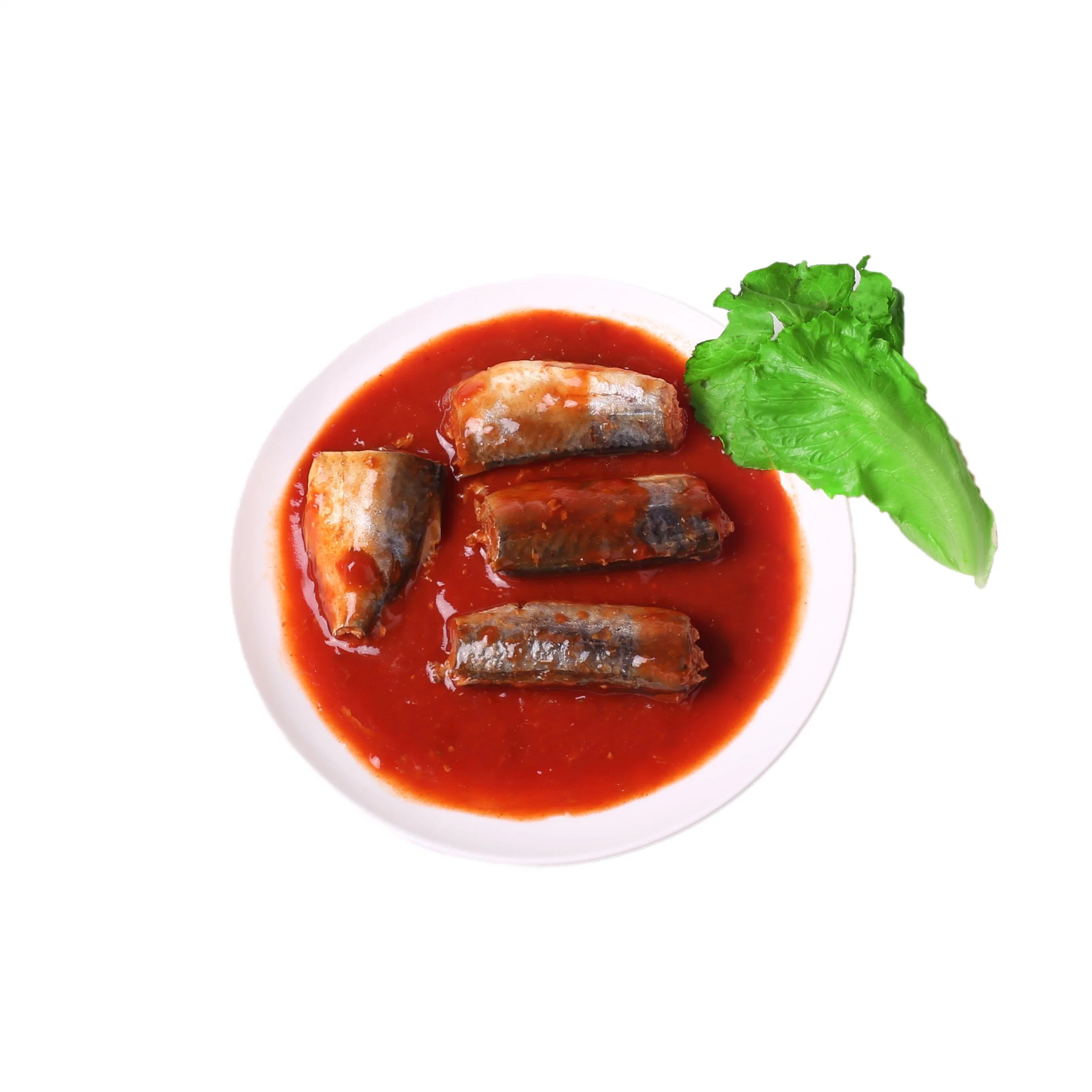 Canned Pacific Mackerel in Tomato Sauce 155gx50tins to Benin