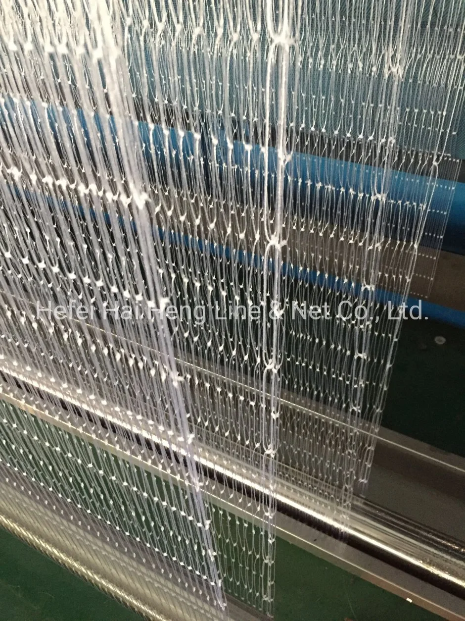 Nylon Fishing Net Multi-Monofilament Twisting Nets for Guinea Market