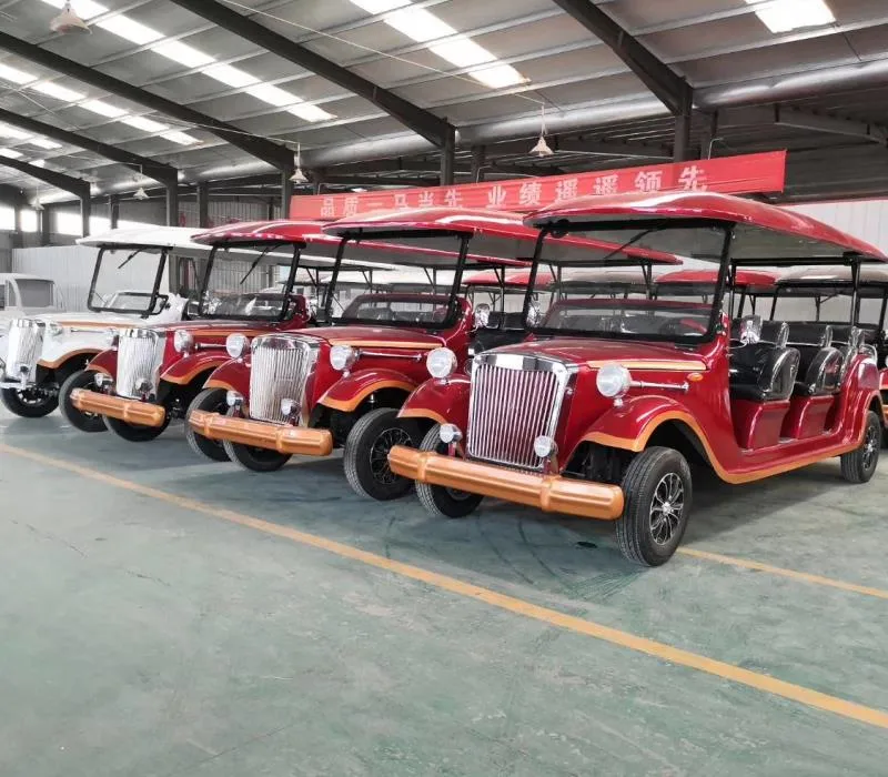 MMC Brand New Design Factory 2/ 4/ 6/ 8/ 10/ 12 Seat Sightseeing Bus Club Cart Electric Golf Buggy Hunting Cart