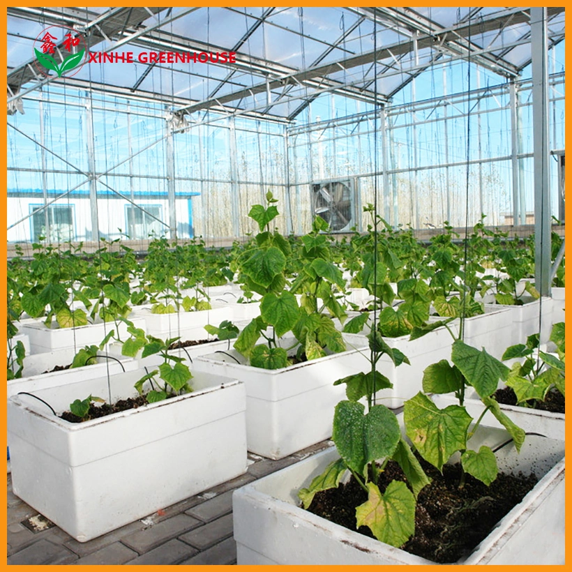 Farm Cultivation Rectangular PVC Nft Channel Hydroponic System Channel Pipe Hydroponics Nft Growing System Manufacturer