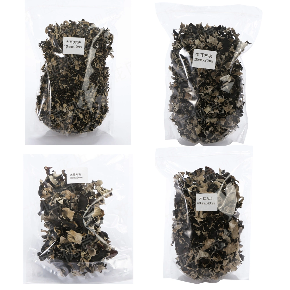 Premium White Backed Large Black Fungus