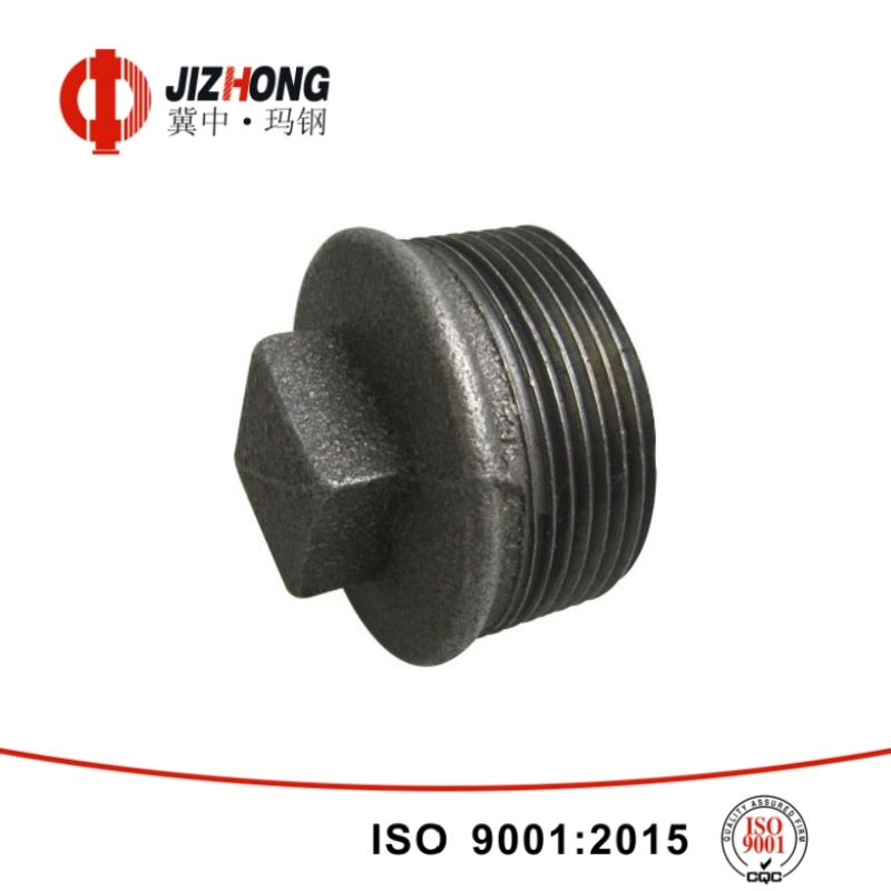 UL/FM Fire Safety Certification Fire Fitting Cheap Price Pipe Fitting Plug