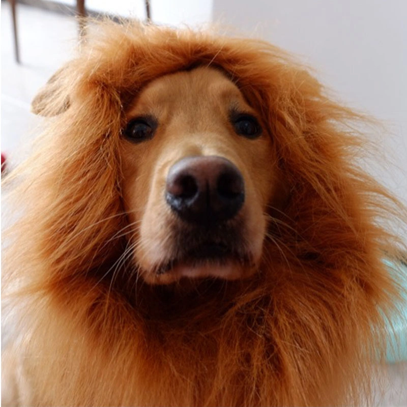 Pet Wig Lion Head Hat Fashion Pet Second Change Lion Head Cover Dog Headgear Funny Pet Hair Apparel Hat Pet Supplies Dog Wigs