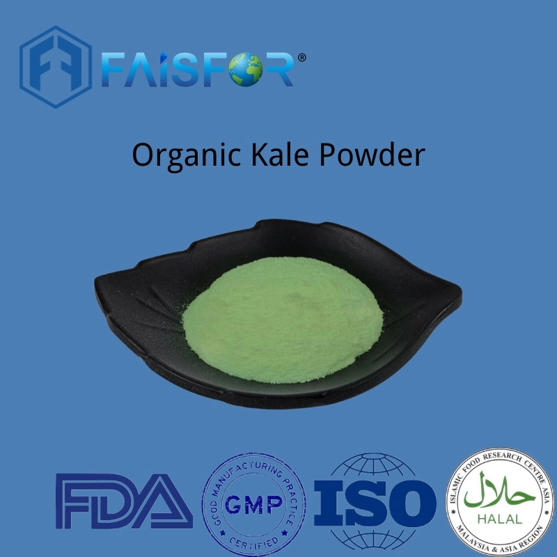 Alimentation en usine Superfood 100% Pure Organic Kale Leaf Powder