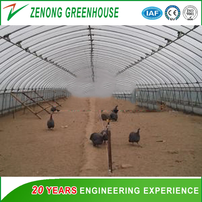 Modern Design Style Poly Single-Arch Film Greenhouse with Shading Screen/Ventilation Equipment