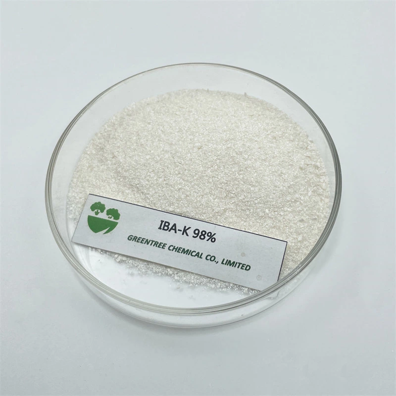 Iba-K Indole Butyric Acid Potassium Salt 98%Tc Plant Growth Regulator CAS 60096-23-3