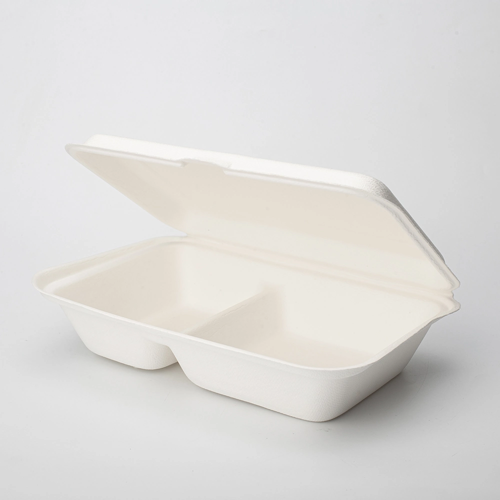 Biodegradable 9" X 6" 2-C Hinged Container for Takeout, Parties, Camping