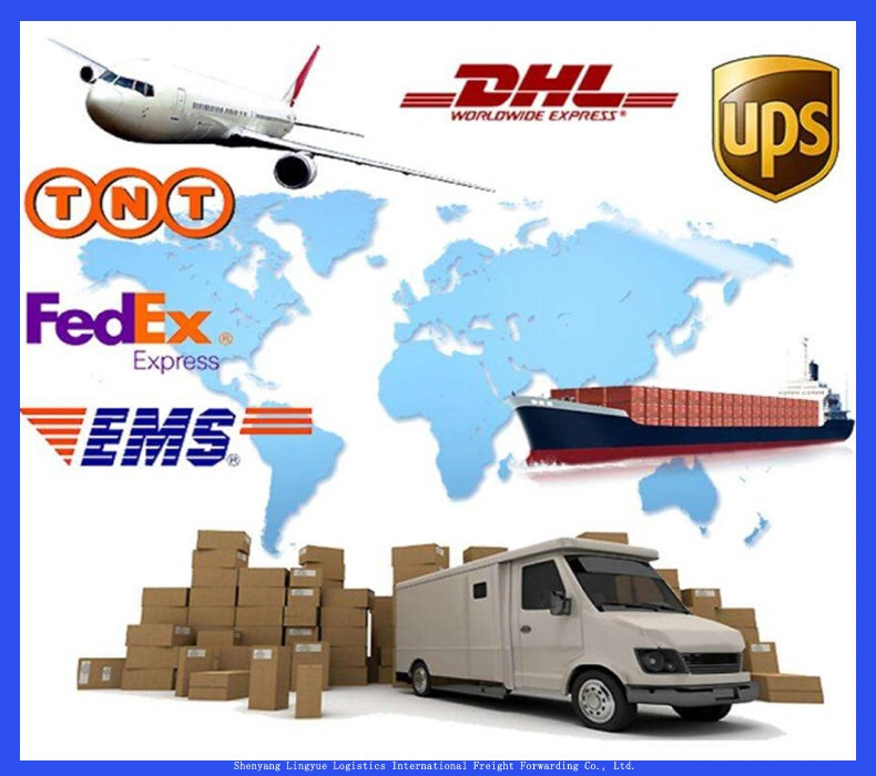 Amazon Fba Door to Door Shipping Agent Sea Freight /Railway Freight/Air Freight From China to The USA