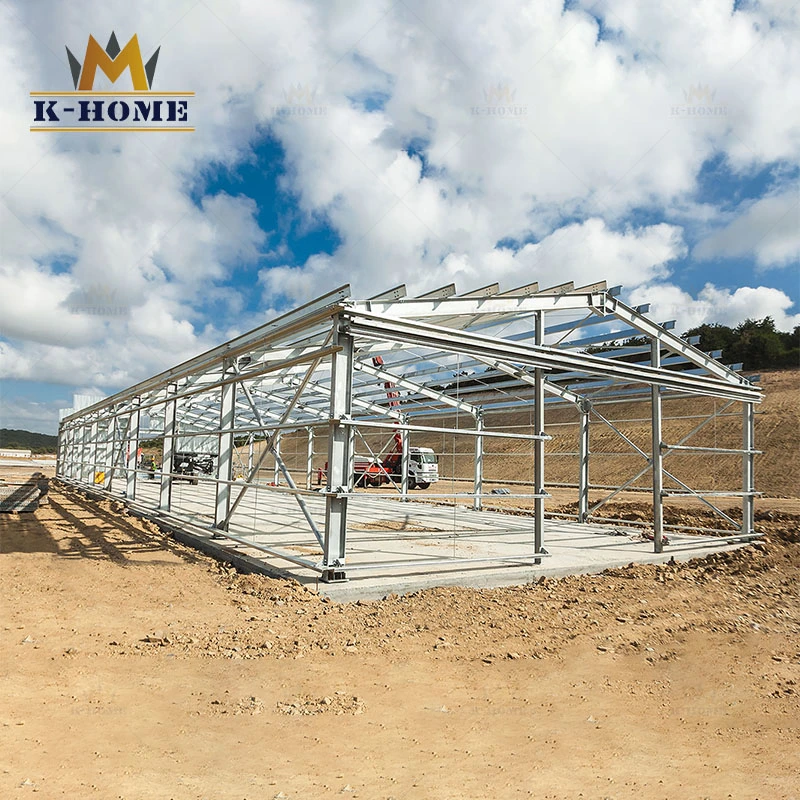 Light Steel Roof Prefab Metal Building Structure for Greenhouse