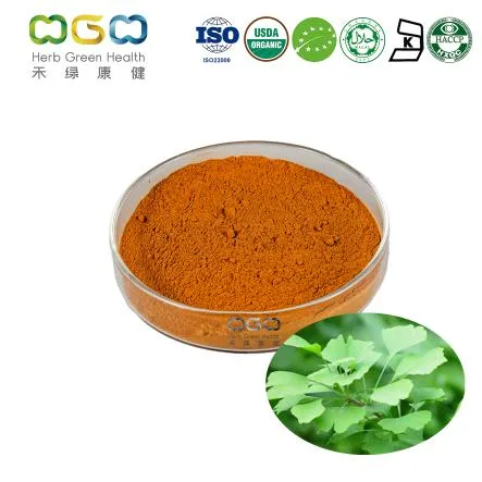 ISO Certified Factory Extract Ratio 4: 1 Organic Ginkgo Biloba Extract