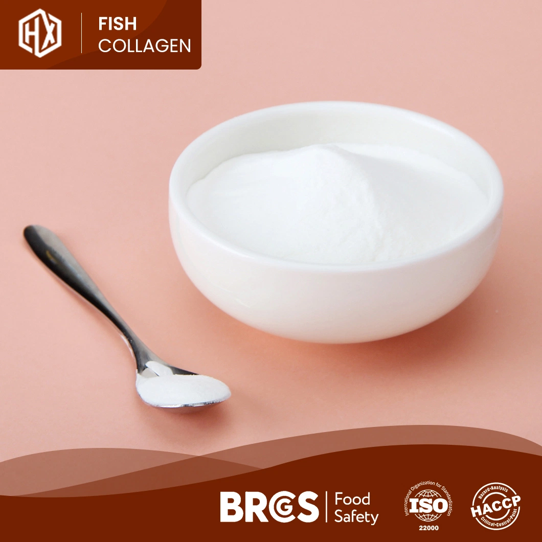 Haoxiang OEM Custom Tilapia Scales Collagen Peptides Drink Skin Whitening Hydrolyzed Marine Collagen Oral Liquid White or Pale Yellow Premium Protein Powder