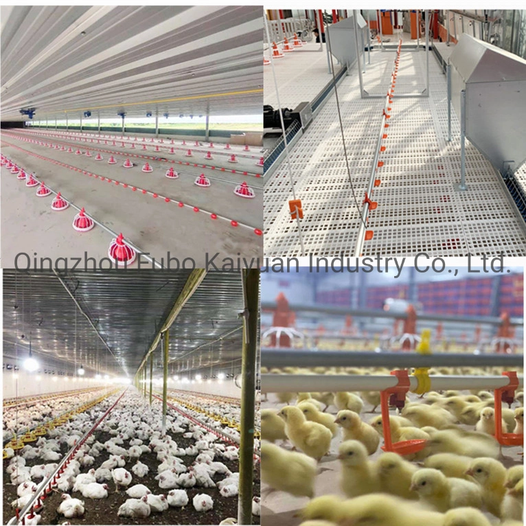 Poultry Farming Plastic Floor Slatted System for Broiler with Automatic Feeding & Drinking Line