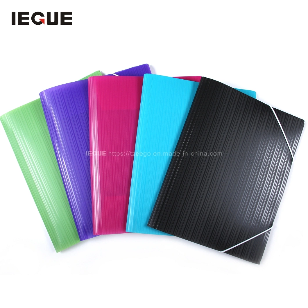 Wholesale Cheap Custom Colorful A4 PP Plastic Document File Folder