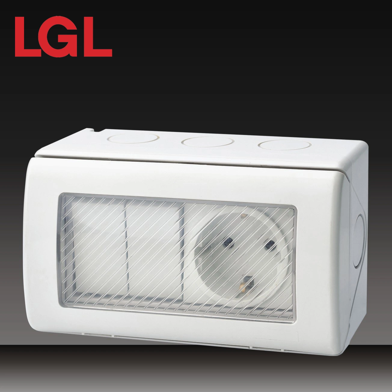 High quality/High cost performance  PC Material 16A 250V Waterproof Switched Socket (LGL-RS)