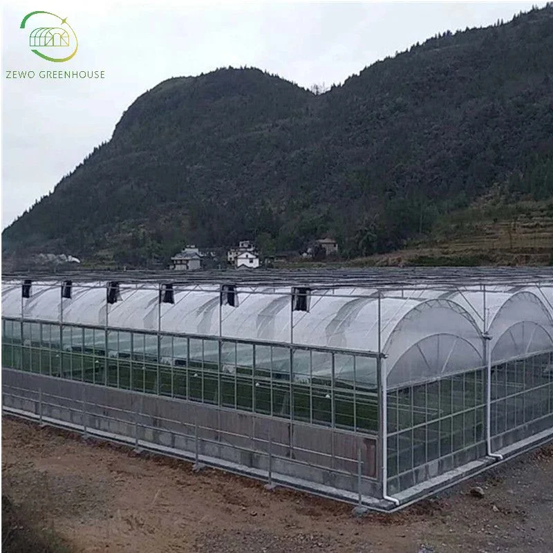 Agricultural Multi Span Tunnel Greenhouses with Hydroponic Growing System for Tomato/Cucumber/Lettuce/Pepper Planting