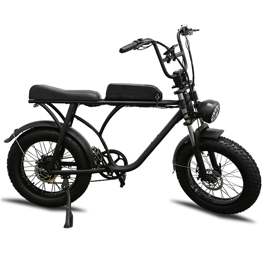 7 Speed ODM vélo électrique Batterie au lithium moto avec électrique externe Kenda pneu