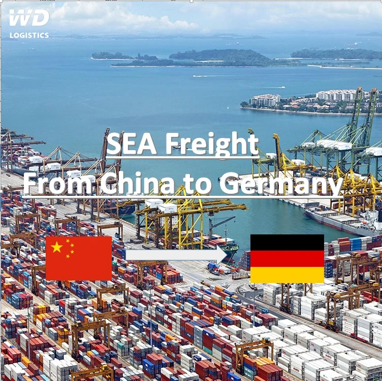 Lowest Price and Most Effiient Freight Forwarder DDP Sea Freight Shipping China to Germany/ France/ Spain/ Italy Sea Freight Forwarder Services