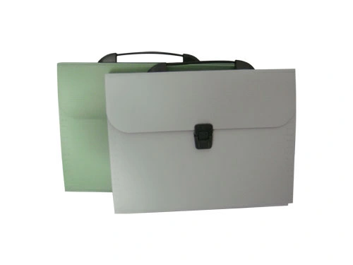 Handle Bag with 13 Pockets (E1103)